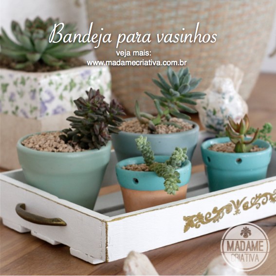 Bandeja para vasinhos de suculentas estilo rústico chique! Assim fica fácil ter um mini jardim dentro de casa! - How to make a tray to store your succulents!